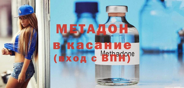 индика Алексин
