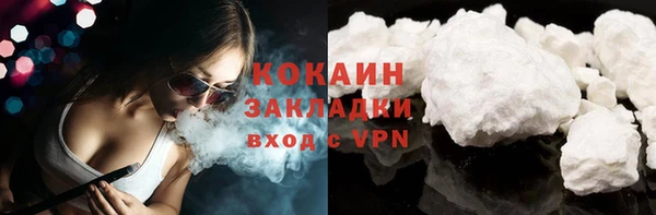 индика Алексин