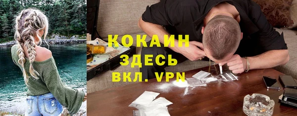 индика Алексин