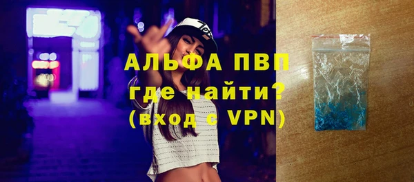 индика Алексин
