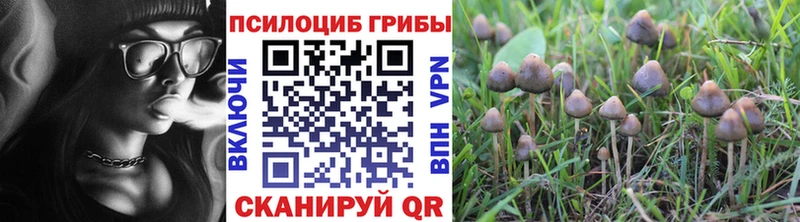 это состав  цены наркотик  Чаплыгин  Псилоцибиновые грибы Psilocybe 